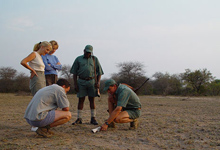 Interpretive walking safaris, Kruger Park Interpretive walking safaris, Kruger Park