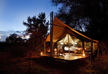 Plains Camp, Kruger National Park Plains Camp, Kruger National Park