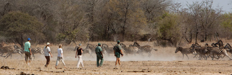 Walking safaris, Kruger Park Walking safaris, Kruger Park