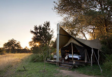 At Plains Camp in the Kruger Park, guests arrive to a permanent camp after their walking safari At Plains Camp in the Kruger Park, guests arrive to a permanent camp after their walking safari