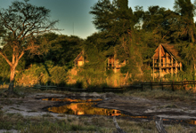 Savute Safari Lodge 