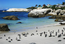 Boulders Beach, Simons Town Boulders Beach, Simons Town