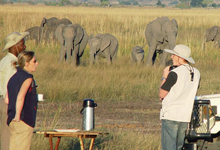 Chobe Safari Lodge game drive Chobe Safari Lodge game drive
