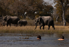 Selinda Explorers Camp - Northern Botswana Selinda Explorers Camp - Northern Botswana