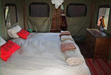 Shindzela Tented Camp Shindzela Tented Camp