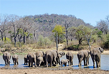 On safari near Singita Pamushana Lodge