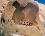 17 Day Safari