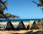 Mozambique Tour