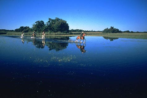 Okavango Delta