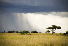 Kalahari, Botswana, Best time to visit Kalahari, Botswana, Best time to visit