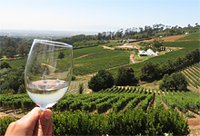 Cape Winelands near Victoria & Alfred Hotel Cape Winelands near Victoria & Alfred Hote
