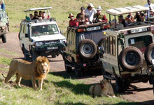 Safari Vehicle East Africa