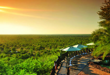 View from Victoria Falls Safari Lodge