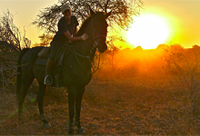 Horseback Safaris, near Kruger Park, Wait a Little Safaris Horseback Safaris, near Kruger Park, Wait a Little Safaris