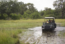 Game drive safari at Xaxanaka Camp