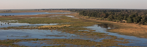 Zarafa Camp, northern Botswana