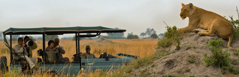 Game Viewing safari, Zarafa Camp